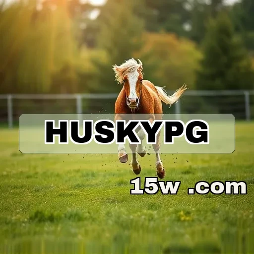 huskypg.com: Descubra as Melhores Opções de Pagamento para Jogadores