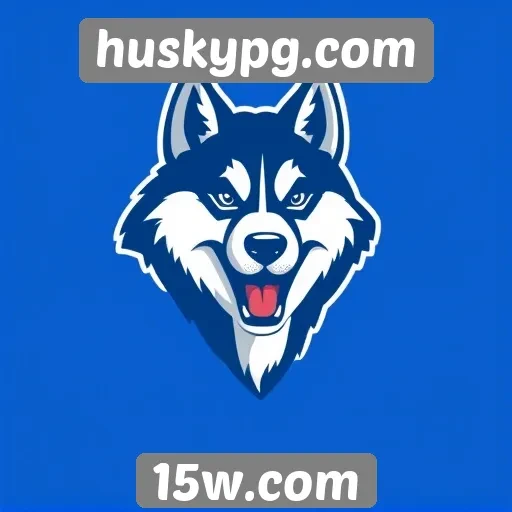 Avaliação das funcionalidades do site huskypg.com